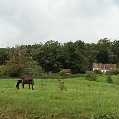 Au Jardin De La Maison Des Soeurs Mutzig Buitenkant foto