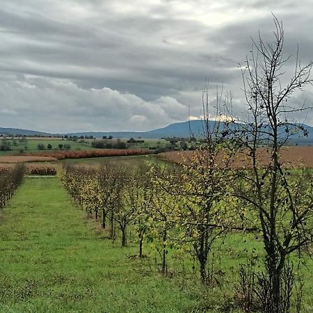 Au Jardin De La Maison Des Soeurs Mutzig Buitenkant foto