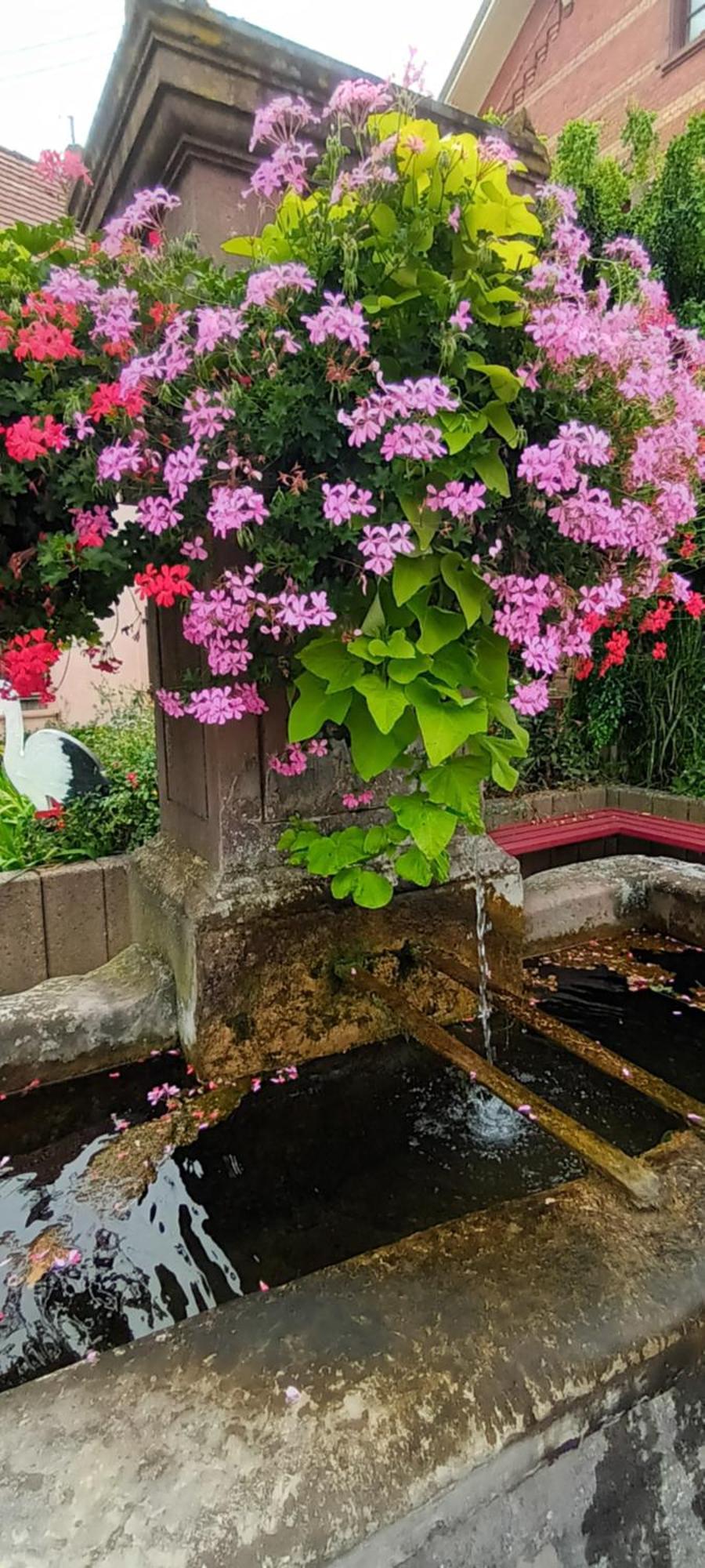 Au Jardin De La Maison Des Soeurs Mutzig Buitenkant foto