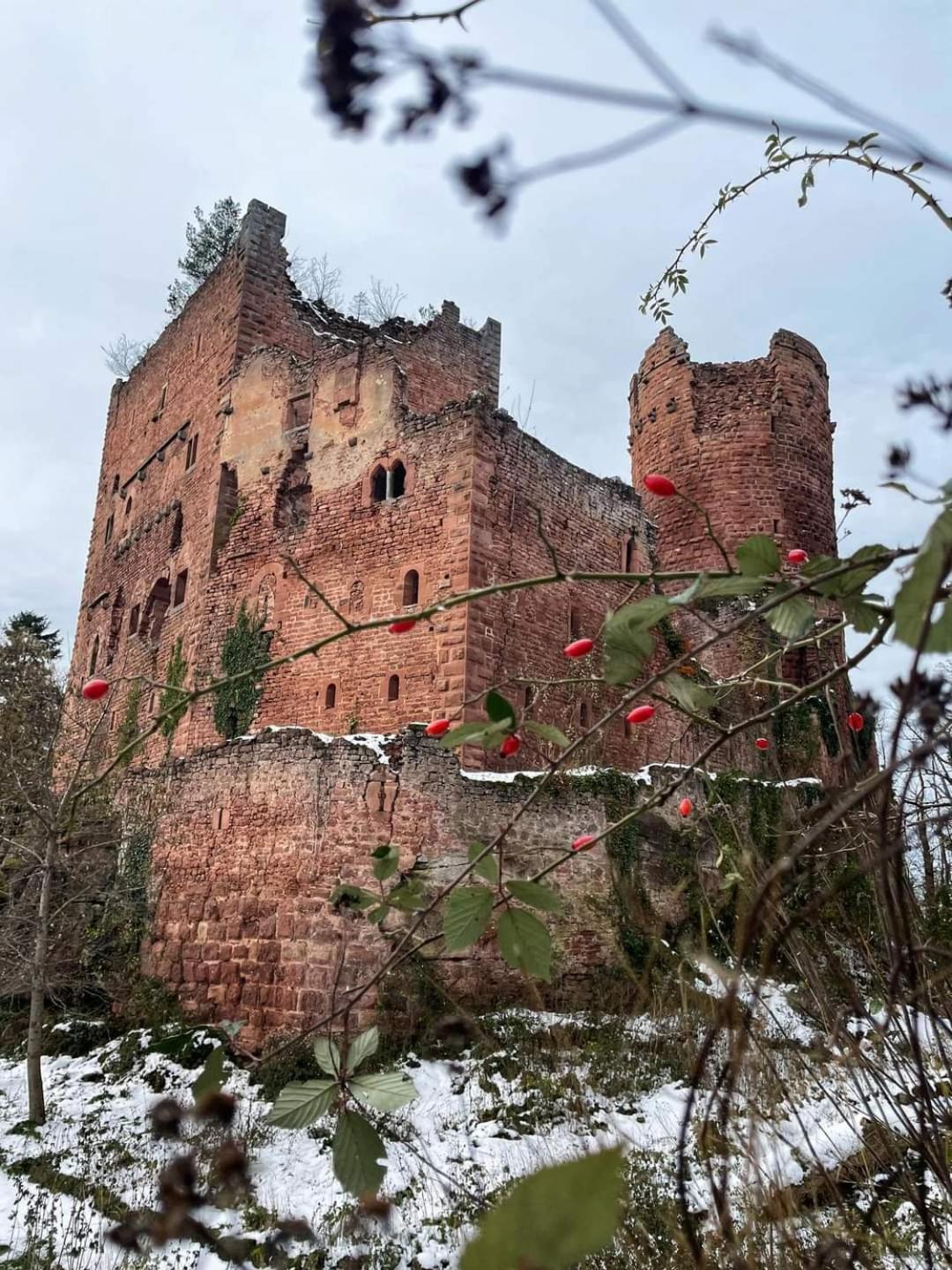 Au Jardin De La Maison Des Soeurs Mutzig Buitenkant foto
