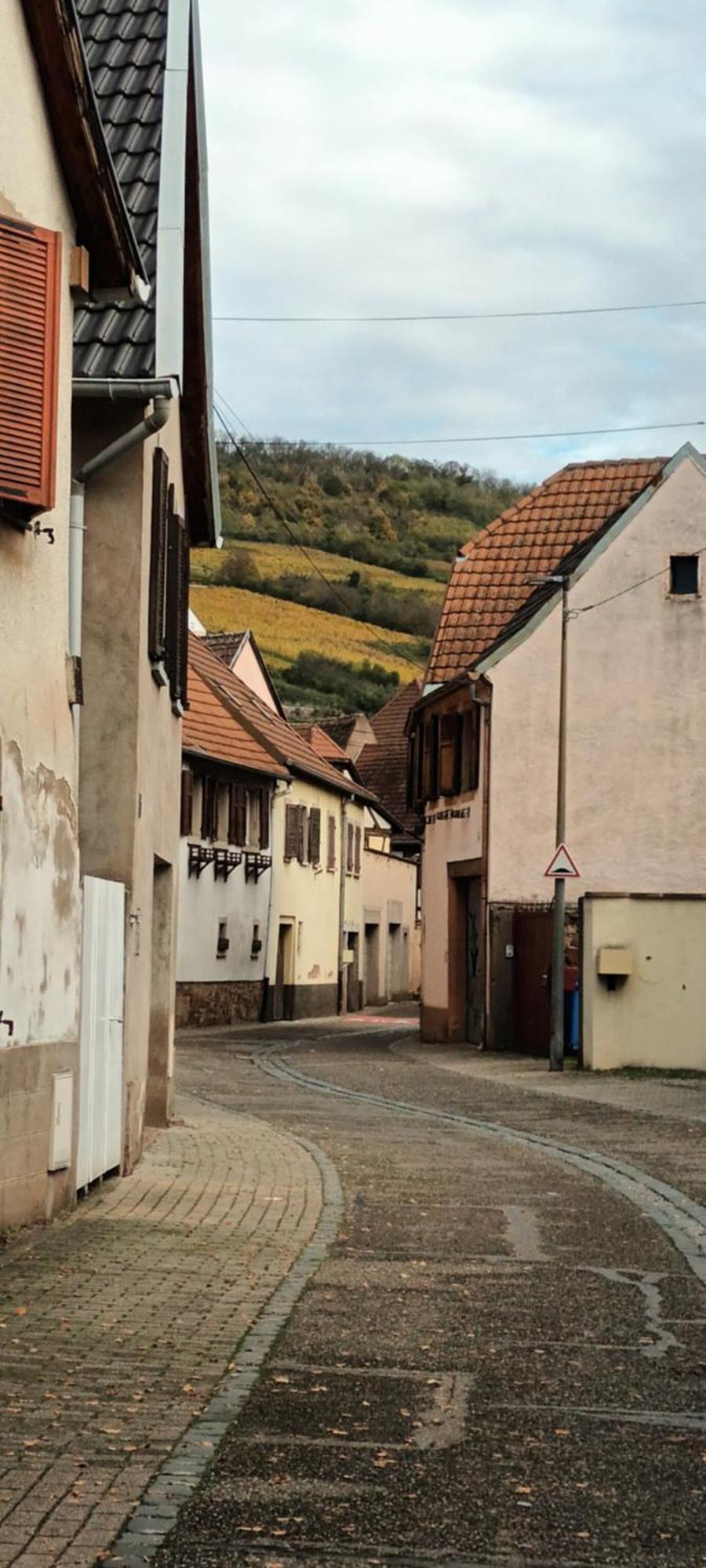 Au Jardin De La Maison Des Soeurs Mutzig Buitenkant foto